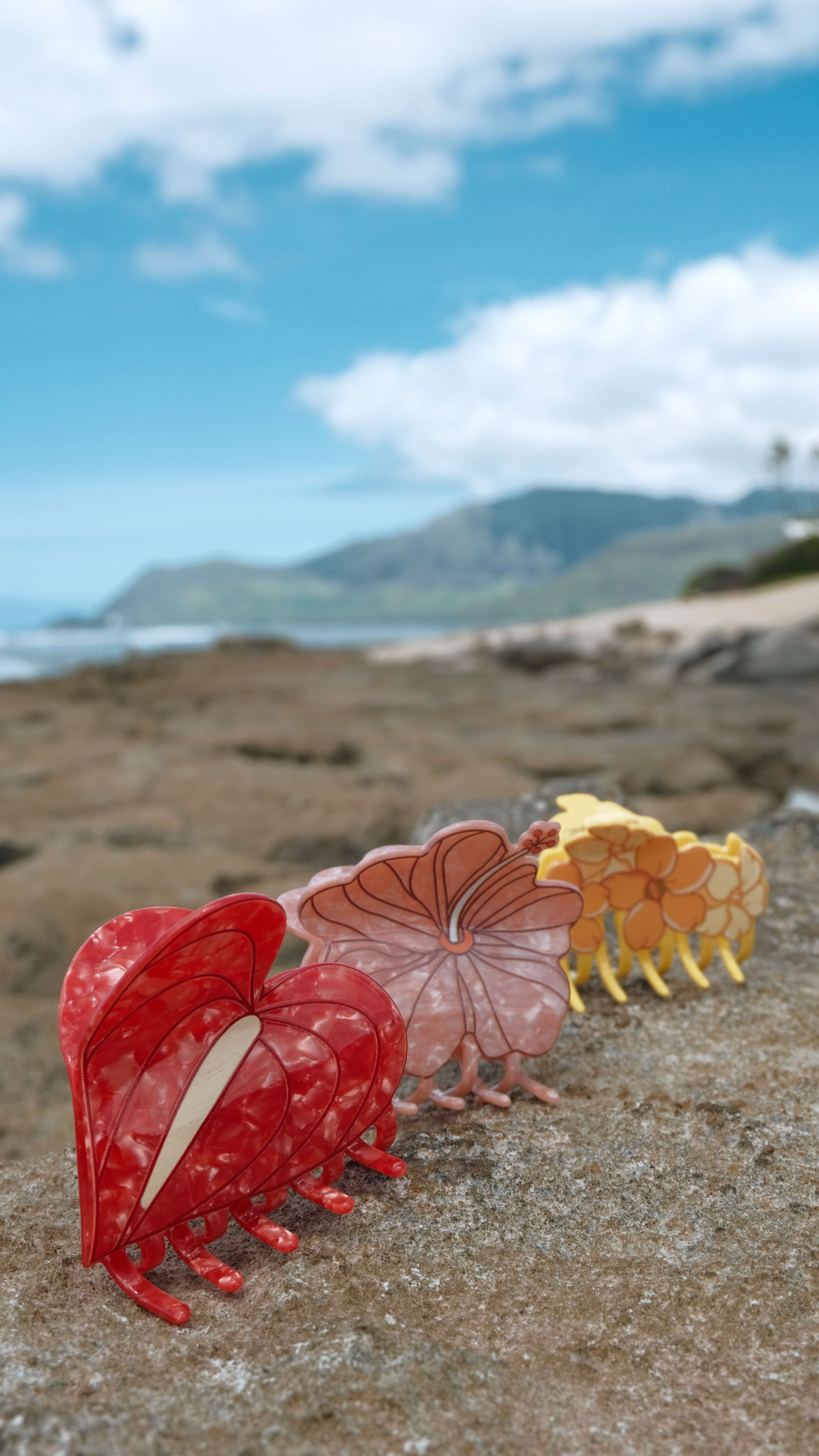 Hair Clips